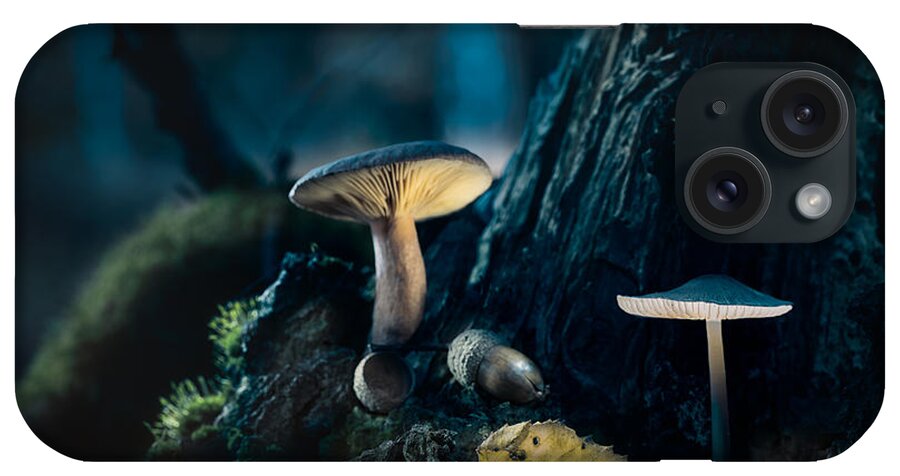 Beautiful iPhone Case featuring the photograph Mushroom lantern by Dirk Ercken