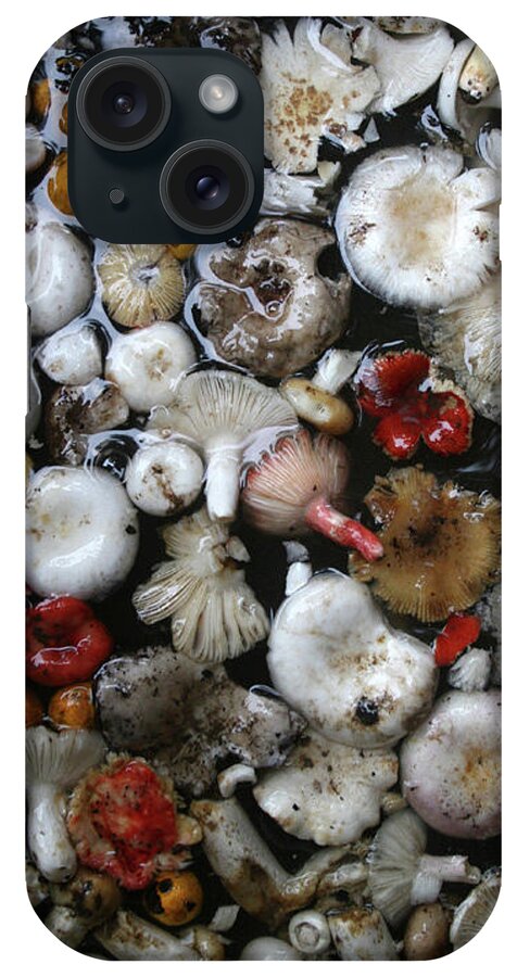 Art iPhone Case featuring the painting Mushrooms in Thailand by Jeremy Holton