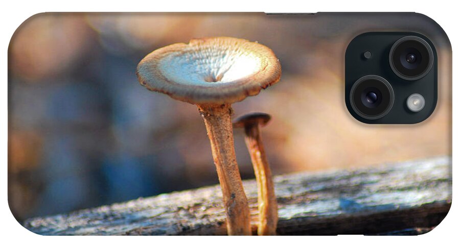 Fine Art iPhone Case featuring the photograph Mushrooms on a Stick by Donna Greene