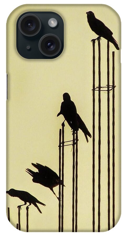  iPhone Case featuring the photograph Music and Birds-Sri Lanka by Duncan Davies