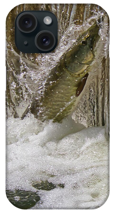 Muskie iPhone Case featuring the photograph Muskie 2 - Lake Wingra - Madison - Wisconsin by Steven Ralser