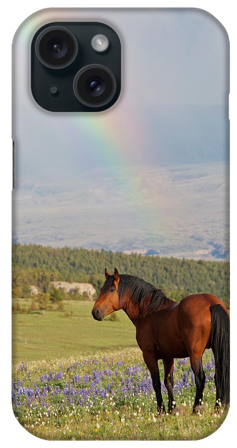 Feral iPhone Case featuring the photograph Mustang and Rainbow by D Robert Franz