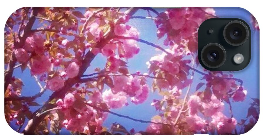 Instagram iPhone Case featuring the photograph My Cherry Blossom Trees Are Just by Genevieve Esson