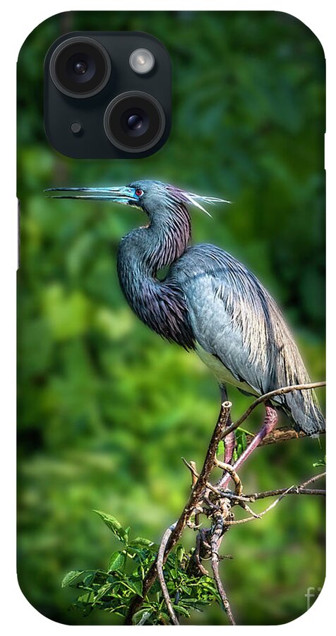 Bird iPhone Case featuring the photograph My Good Side by Marvin Spates