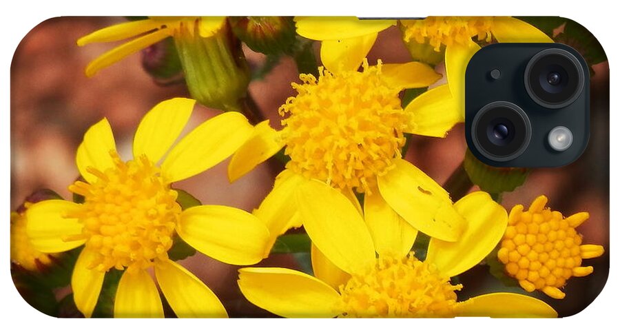 Yellow Blooms iPhone Case featuring the photograph My happy place by Barbara Leigh Art