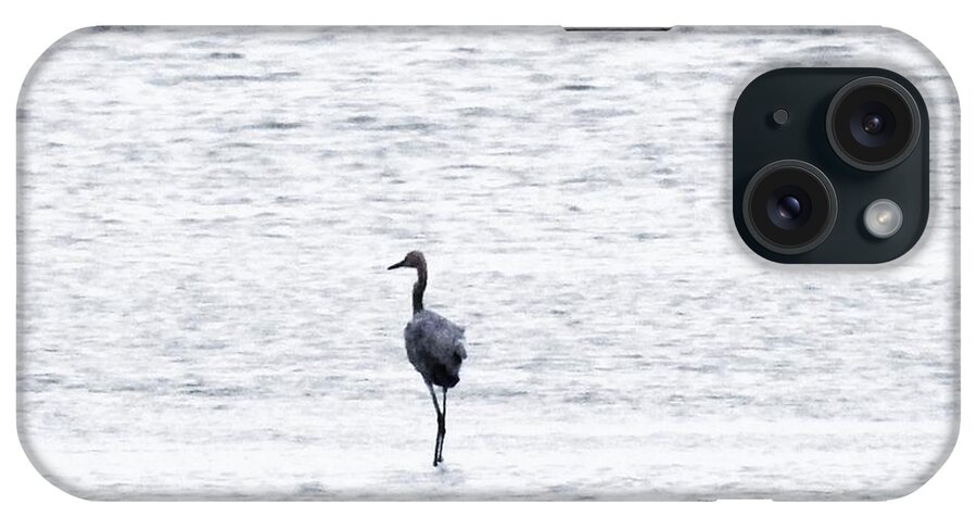 Coastal Birds iPhone Case featuring the photograph My Sea by Jan Gelders