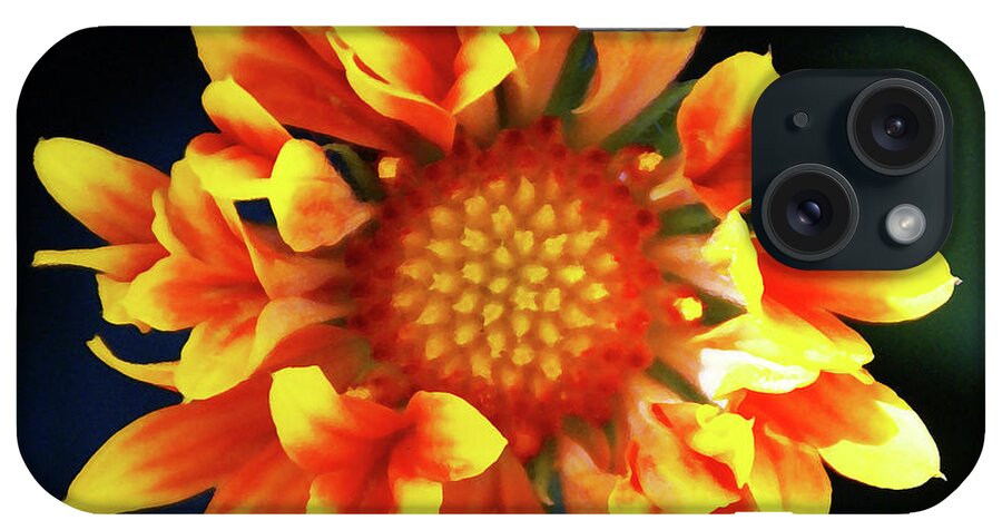 Flower iPhone Case featuring the photograph My Sunrise and You by Linda Shafer