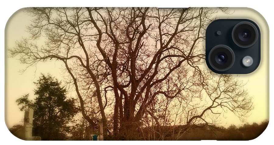 Photo iPhone Case featuring the photograph My tree has a soul by Delona Seserman