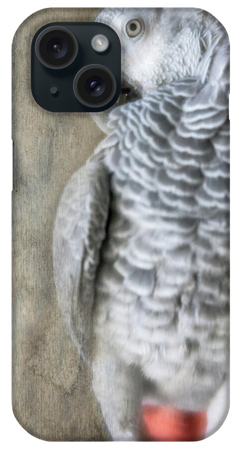 African Grey iPhone Case featuring the photograph Mysterious Parrot by Jennifer Grossnickle