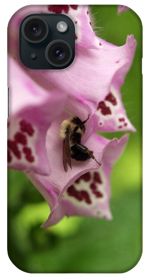Flowers iPhone Case featuring the photograph Nap Time by Dorothy Lee