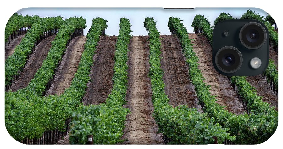 Napa iPhone Case featuring the photograph Napa Vineyards by Judy Wolinsky