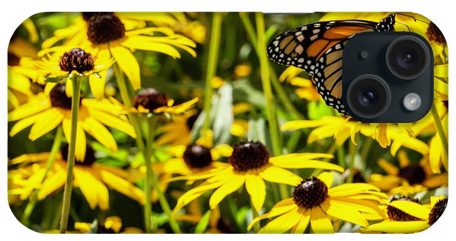 Wildlife iPhone Case featuring the photograph Monarch Butterfly on Yellow Flowers by Jason Fink
