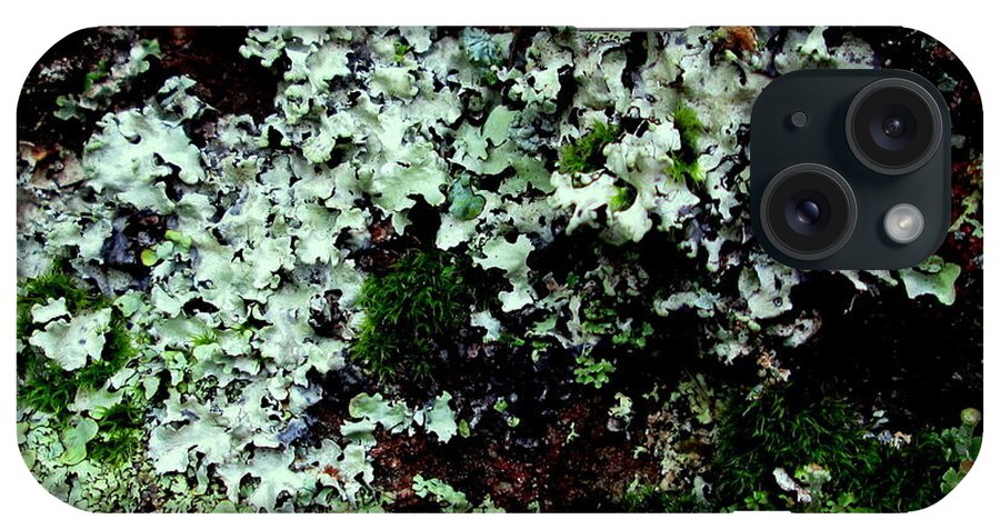 Lichen iPhone Case featuring the photograph Natural Still Life #6 by Larry Bacon