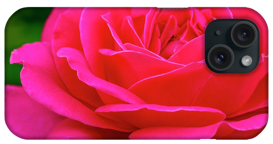 Valentine iPhone Case featuring the photograph Nature Bright Pinnk Beauty by Teri Virbickis