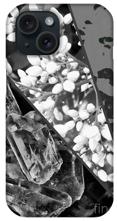Water iPhone Case featuring the photograph Nature Collage In Black and White by Rachel Hannah