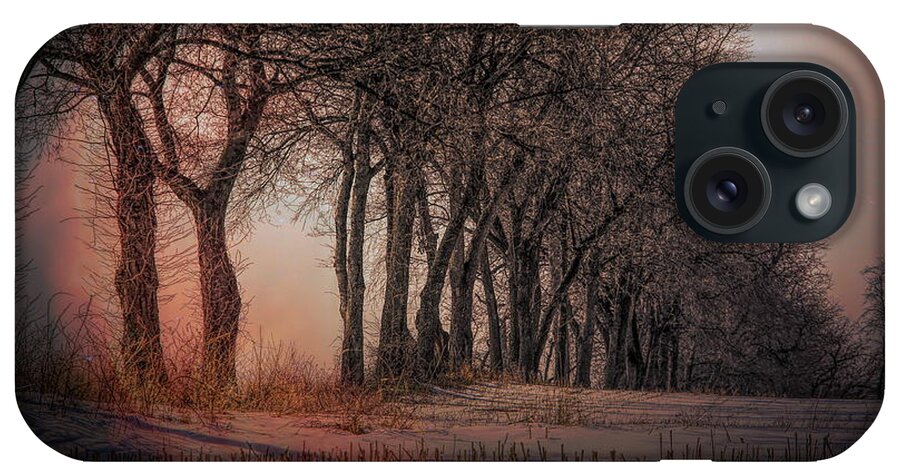 Landscape iPhone Case featuring the photograph Nature Winter Bare Trees Color by Chuck Kuhn