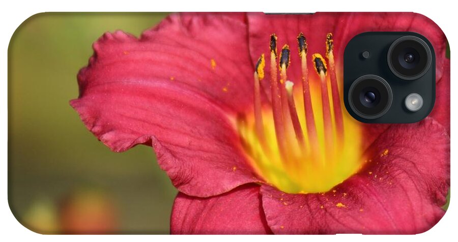 Pink iPhone Case featuring the photograph Nature's Beauty 121 by Deena Withycombe