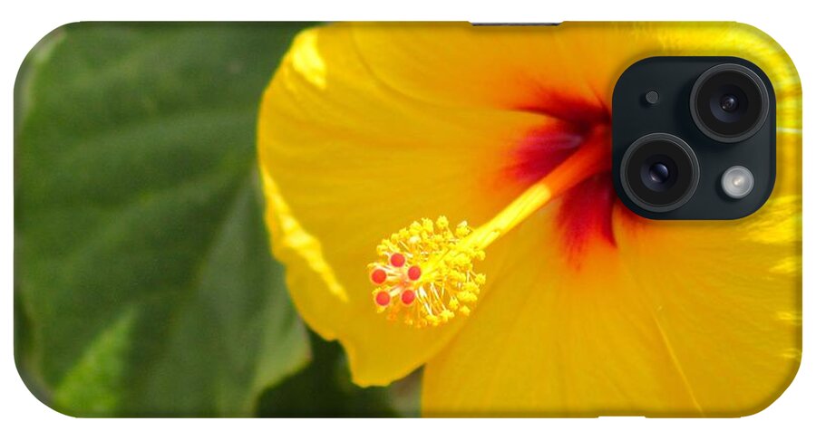 Yellow And Red iPhone 15 Case featuring the photograph Nature's Beauty 5 by Deena Withycombe