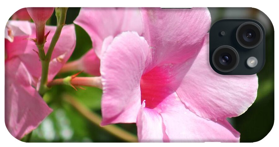 Pink iPhone Case featuring the photograph Nature's Beauty 8 by Deena Withycombe