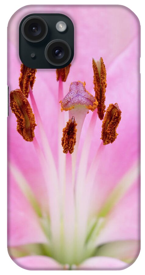 Flower iPhone Case featuring the photograph Nature's Canvas by Richard Macquade