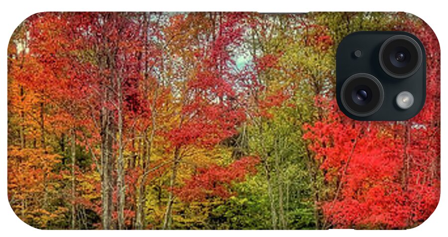 Landscapes iPhone Case featuring the photograph Natures Fall Palette by David Patterson