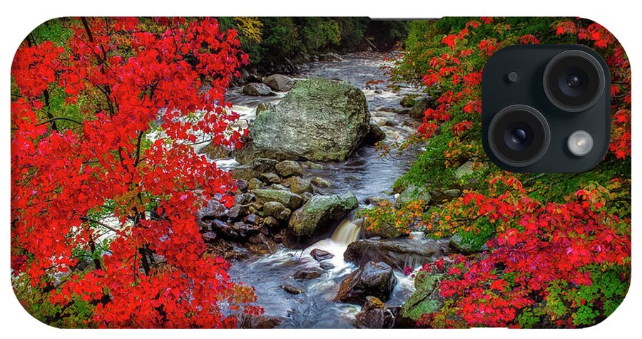 Red iPhone Case featuring the photograph Natures Frame by Mark Papke