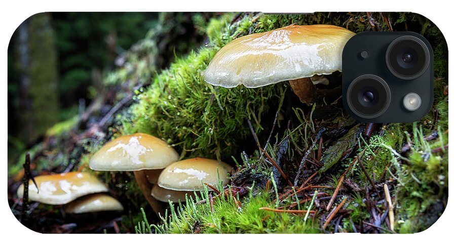 Mushroom iPhone Case featuring the photograph Nature's Little Helpers by Belinda Greb