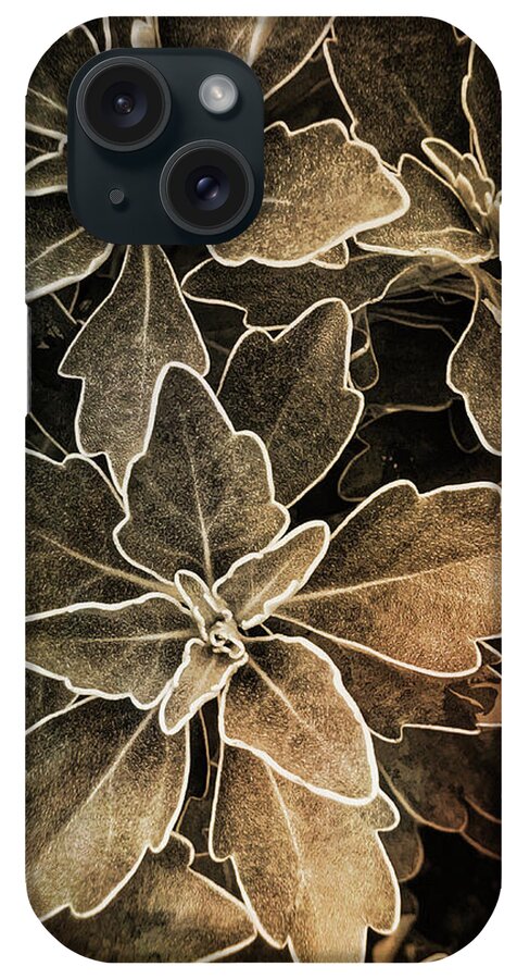 Smart Phone Photo iPhone Case featuring the photograph Natures Patterns by Jill Love