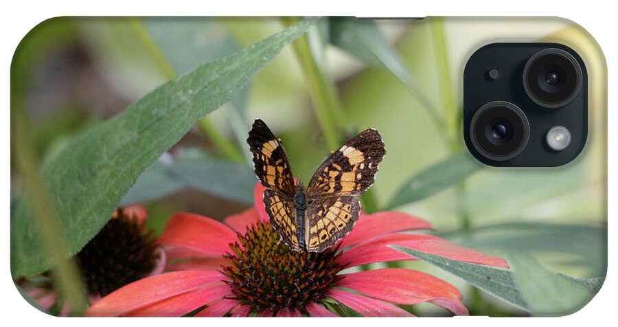 Butterfly iPhone Case featuring the photograph NC Arboretum butterflies 3 by Matt Sexton