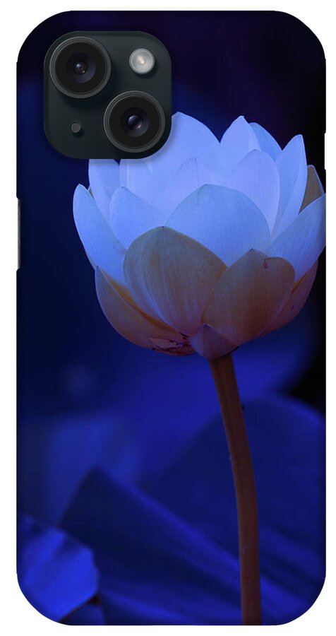 Lotus Blooms Wildflowers iPhone Case featuring the photograph Neon Lotus by Carolyn D'Alessandro