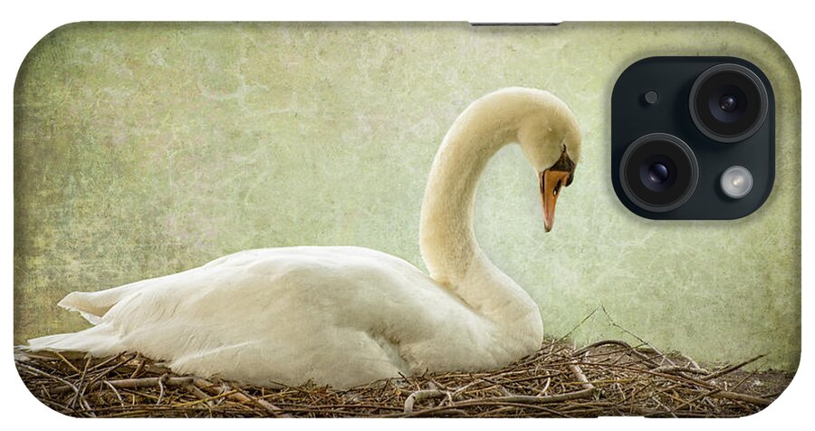 Swan iPhone Case featuring the photograph Nesting Swan by Judy Wolinsky