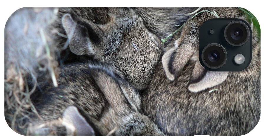 Bunny iPhone Case featuring the photograph Nestled in their Den by Laurel Best