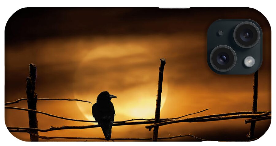 Art iPhone Case featuring the photograph Never More Quoth The Raven by Randall Nyhof