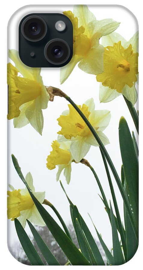 New Beginnings iPhone Case featuring the photograph New Beginnings by Michelle Constantine