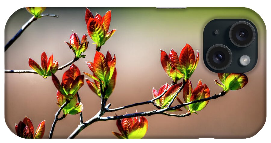 New Growth iPhone Case featuring the photograph New Growth by Paul Mashburn