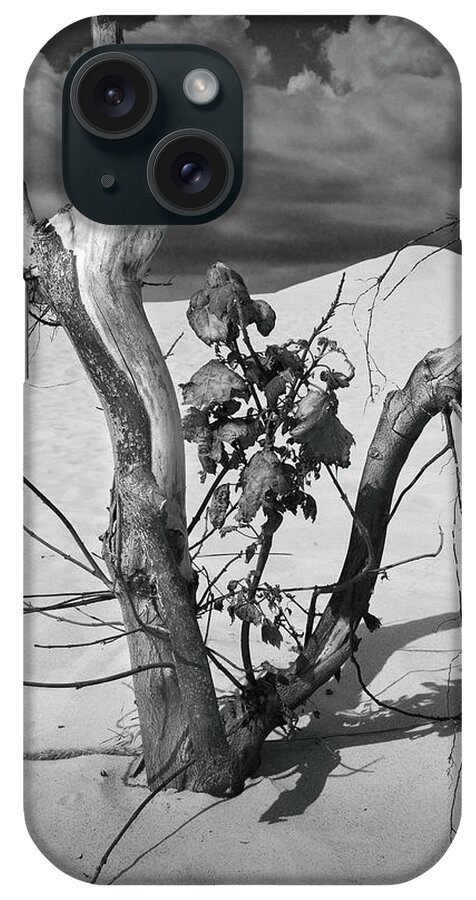 Art iPhone Case featuring the photograph New Life between Dead Tree Branches by Randall Nyhof