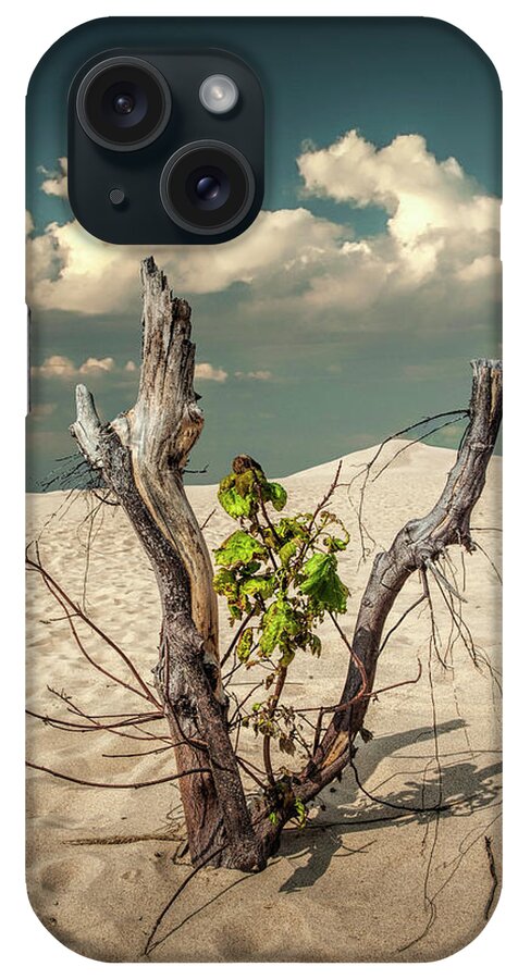 Art iPhone Case featuring the photograph New Life Sprouting with Dead Trees and Cloudy Sky by Randall Nyhof
