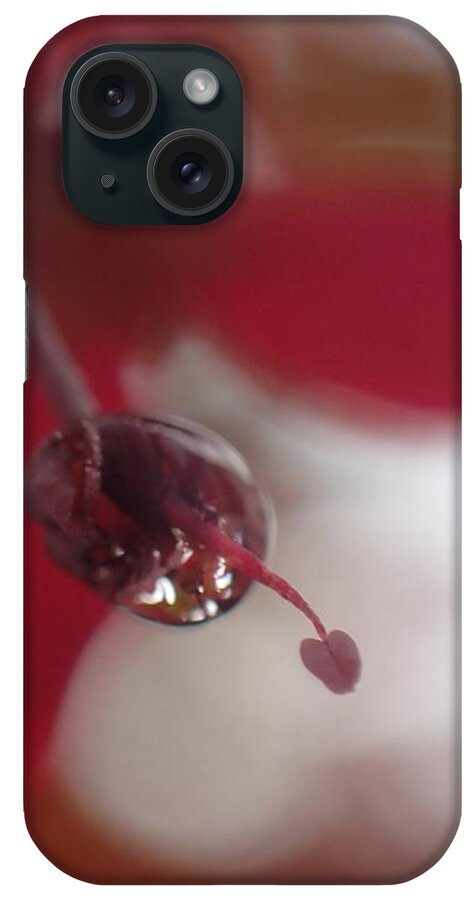 Dreamy iPhone Case featuring the photograph New Love Grows by Christina Verdgeline