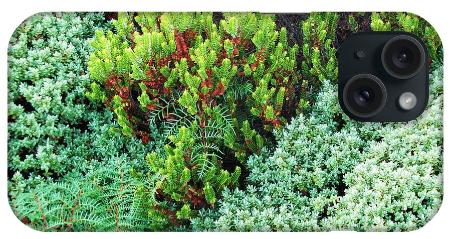 New Zealand Plants iPhone Case featuring the photograph New Zealand Flora by Michele Penner
