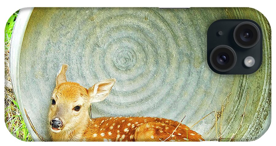 Fawn iPhone Case featuring the photograph Newborn Fawn finds Shelter in an Old Washtub by A Macarthur Gurmankin