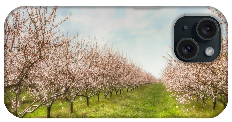 Flowers iPhone Case featuring the photograph Niagara's Spring by Marilyn Cornwell