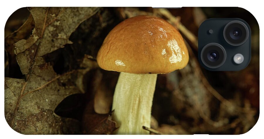 Nice iPhone Case featuring the photograph Nice Tan Shiny Mushroom by Douglas Barnett
