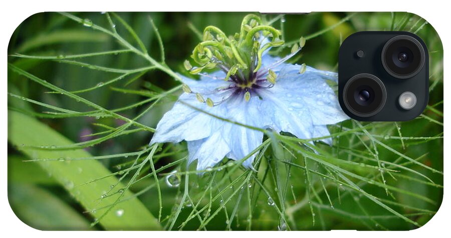 Flower iPhone Case featuring the photograph Nigella in spring rain by Susan Baker