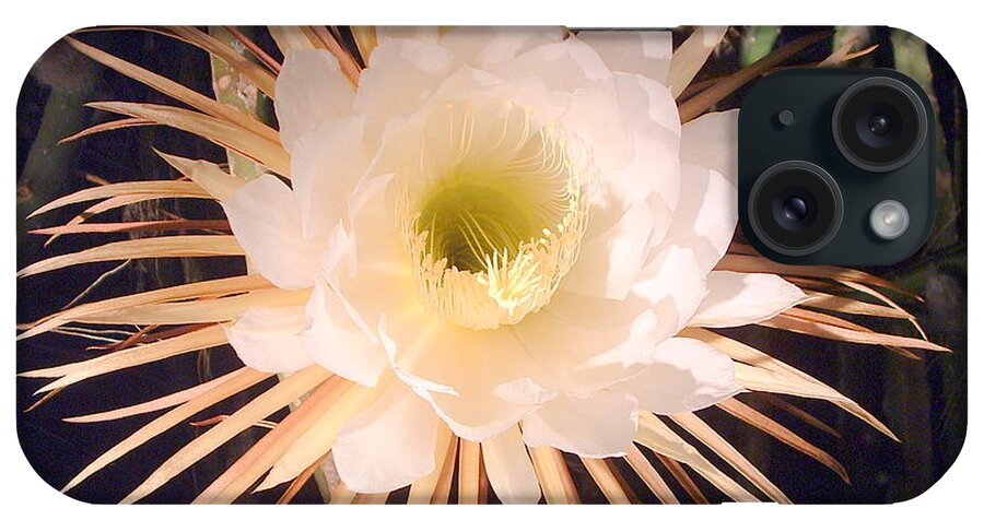 Flower iPhone Case featuring the photograph Night-blooming Cereus by T Guy Spencer