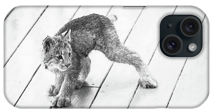 Lynx iPhone Case featuring the photograph Ninja Lynx Kitty bw by Tim Newton