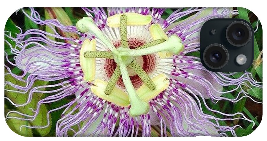 Naturalpics iPhone Case featuring the photograph No Filter #passionflower #alabama by Derek M