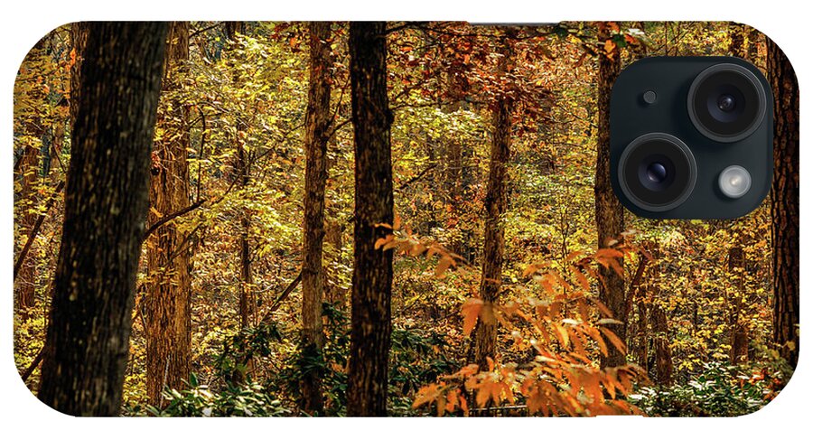 Fall iPhone Case featuring the photograph North Carolina Fall In The Forest by Jim Moore