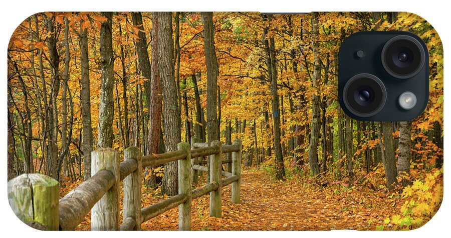 North Country Trail iPhone Case featuring the photograph North Country Trail 1 by Steve L'Italien