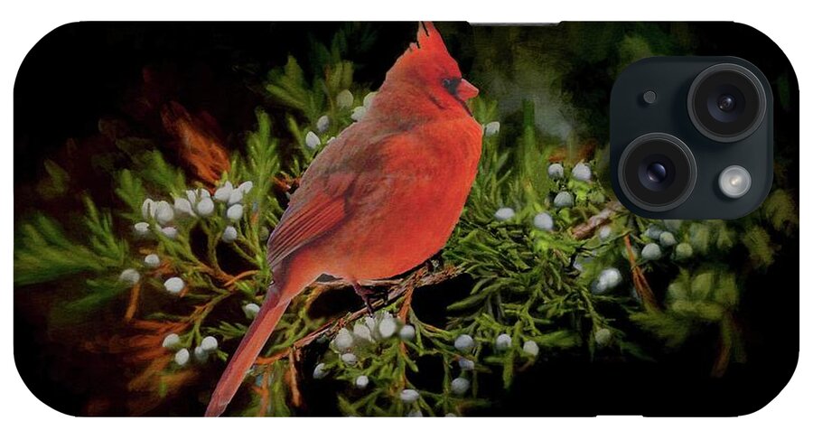 Bird iPhone Case featuring the photograph Northern Scarlet Cardinal on White Berries by Janette Boyd