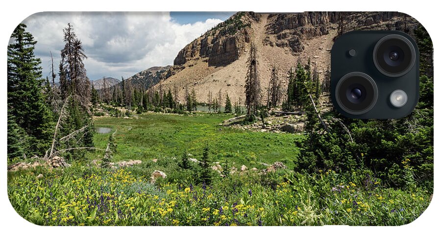 Utah iPhone Case featuring the photograph Notch Mountain Wildflowers and Lake Lovenia by Brett Pelletier